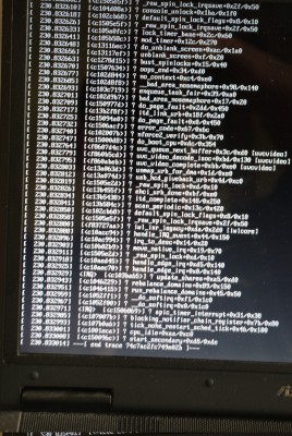 Kernel panic+skype #1