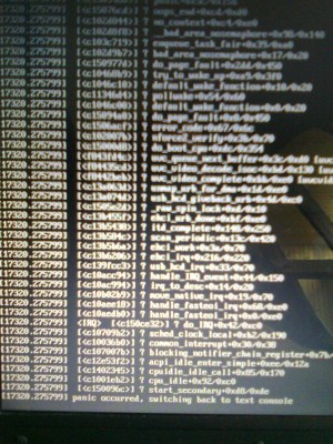 Kernel panic+skype #2