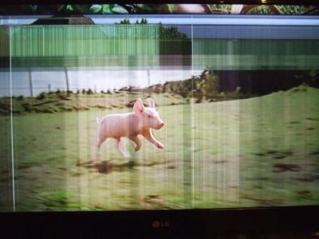 (IMG:/dl/upc/2013-03/02/431205_ts0q6g6tpwphutbu_dscf6204_2.jpg)(/IMG)