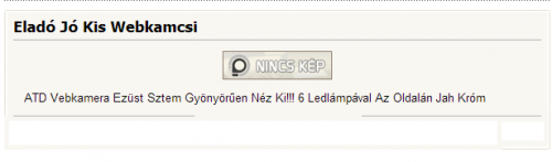 A jó kis vebkamcsi