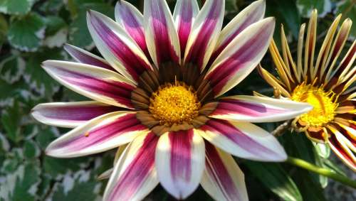 [L:/dl/upc/2013-07/27/346841_rgwid3pnzp92qonf_imag0590.jpg](IMG:/dl/upc/2013-07/27/346841_rgwid3pnzp92qonf_imag0590.thumb.jpg)(/IMG)[/L]