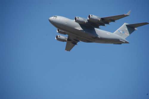 "Repülő(a) Bálna"