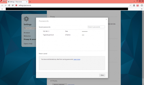 Opera Developer - only 2 passwords stored
