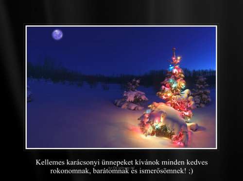 Kellemes karácsonyi ünnepeket mindenkinek!
