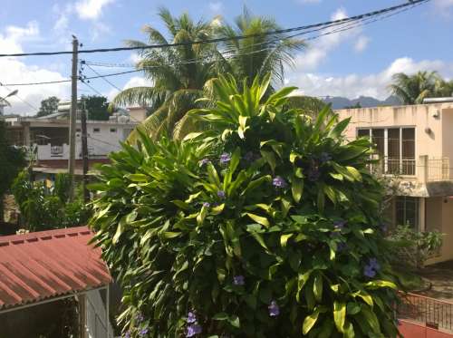 [L:/dl/upc/2014-04/28/166020_caimgmoqtyeh1qqx_pafray1_3.jpg](IMG:/dl/upc/2014-04/28/166020_caimgmoqtyeh1qqx_pafray1_3.thumb.jpg)(/IMG)[/L]