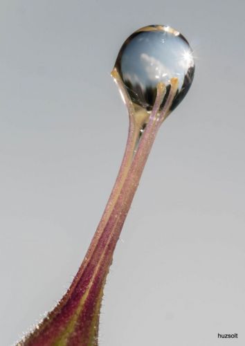 [L:/dl/upc/2015-06/01/445354_gqz2tgdncnw4o6yq_01-p1320959.jpg](IMG:/dl/upc/2015-06/01/445354_gqz2tgdncnw4o6yq_01-p1320959.thumb.jpg)[L:/dl/upc/2015-06/01/445354_osevbhvmwcicc72p_12-p1330067.jpg](IMG:/dl/upc/2015-06/01/445354_osevbhvmwcicc72p_12-p1330067.thumb.jpg)[L:/dl/upc/2015-06/01/445354_rvn3djbbpsitzmhl_03-p1320615.jpg](IMG:/dl/upc/2015-06/01/445354_rvn3djbbpsitzmhl_03-p1320615.thumb.jpg)[L:/dl/upc/2015-06/01/445354_f8mkt1kdcb8bg1p2_11-p1320868.jpg](IMG:/dl/upc/2015-06/01/445354_f8mkt1kdcb8bg1p2_11-p1320868.thumb.jpg)[L:/dl/upc/2015-06/01/445354_nqdhlovuscrnygtl_13-p1320637.jpg](IMG:/dl/upc/2015-06/01/445354_nqdhlovuscrnygtl_13-p1320637.thumb.jpg)[L:/dl/upc/2015-06/01/445354_r2a2ygsa3lo9iemb_33-p1330072.jpg](IMG:/dl/upc/2015-06/01/445354_r2a2ygsa3lo9iemb_33-p1330072.thumb.jpg)(/IMG)[/L](/IMG)[/L](/IMG)[/L](/IMG)[/L](/IMG)[/L](/IMG)[/L]