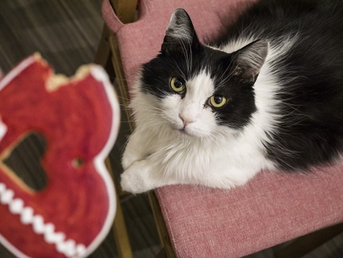 [L:/dl/upc/2015-11/30/180451_bzasta6pyzti3772_dezso.jpg](IMG:/dl/upc/2015-11/30/180451_bzasta6pyzti3772_dezso.thumb.jpg)(/IMG)[/L]