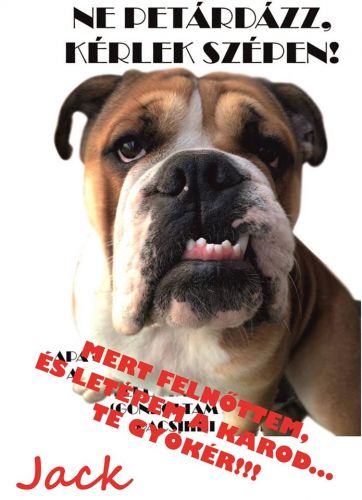 idei