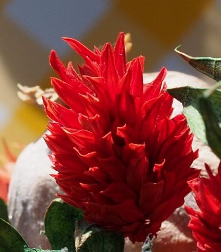 [L:/dl/upc/2016-01/17/315562_ctfgy6z4picsyn3d_piros_2.jpg](IMG:/dl/upc/2016-01/17/315562_ctfgy6z4picsyn3d_piros_2.thumb.jpg)(/IMG)[/L]