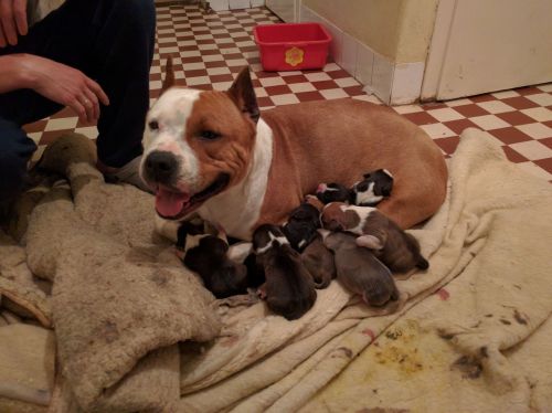 [L:/dl/upc/2016-05/10/346352_eeh9mywqum6ecqps_img_20160510_202001.jpg](IMG:/dl/upc/2016-05/10/346352_eeh9mywqum6ecqps_img_20160510_202001.thumb.jpg)[L:/dl/upc/2016-05/10/346352_xthhcfbyyqs7rpqh_img_20160510_203137.jpg](IMG:/dl/upc/2016-05/10/346352_xthhcfbyyqs7rpqh_img_20160510_203137.thumb.jpg)(/IMG)[/L](/IMG)[/L]