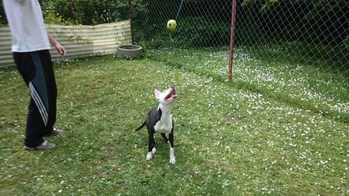 [L:/dl/upc/2016-05/11/70898_l9m9ngzij8x9ccmm_dsc_0211.jpg][/L]