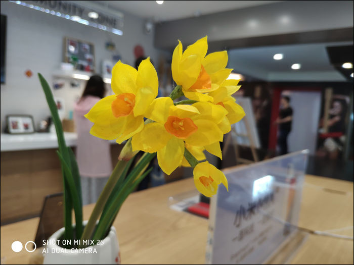Xiaomi Mi MIX 2s által beltérben, automatikus üzemmódban készült 4:3 képarányú fotó. (ISO:110, f/1.8, 1/50s; a képre kattintva elérhető az eredeti, szerkesztetlen kép is!)