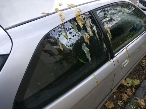 alt="alt="" title=""" title="alt="" title="""