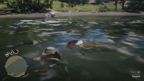 alt="alt="" title=""" title="alt="" title="""