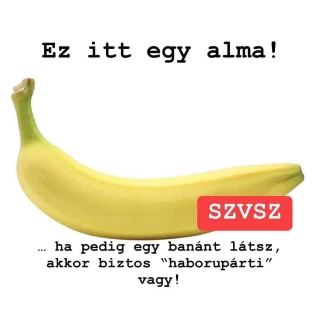 [Kép: 372323_myd1riadagujcvph_fb_img_1747289622770.jpg]
