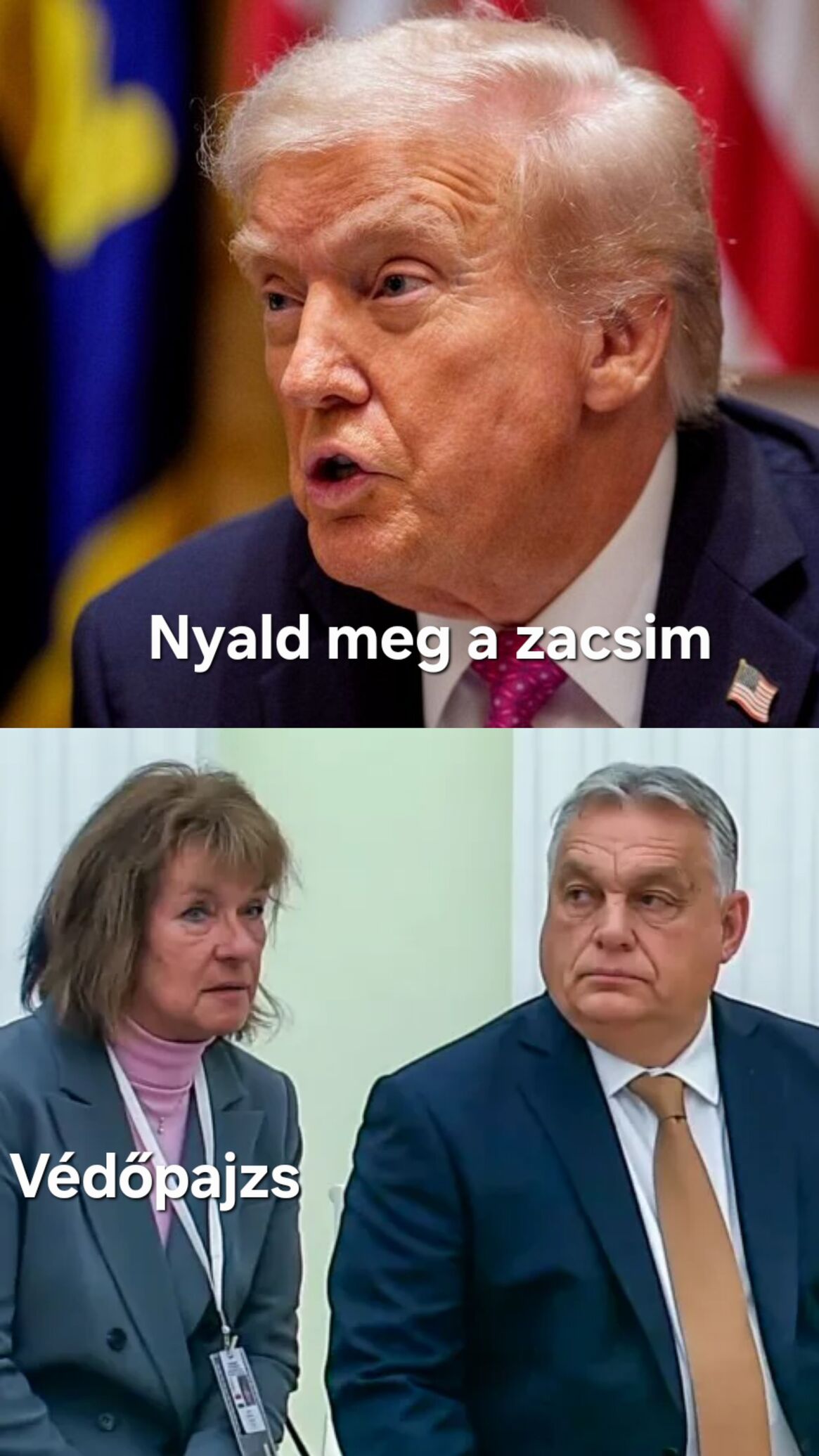 [Kép: 36493_howihfcu2mulci06_20251209_140754.jpg]