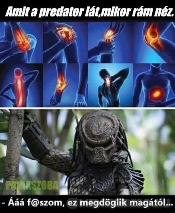 [Kép: 15583_s6vnbpg6shx2d81u_20250220-094724_406102.jpg]